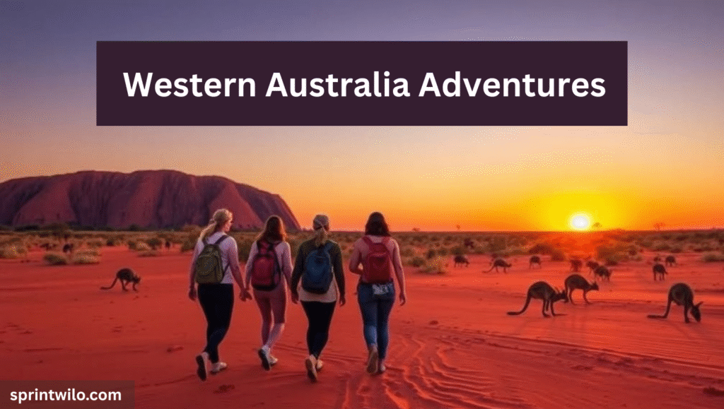Solo Travel Tours