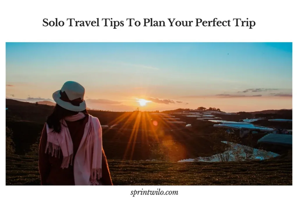 Solo Travel Tips To Plan Your Perfect Trip solo travel tips travel guide